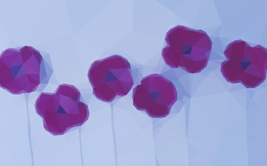 Train on Anzac Day with an Open Mat Session