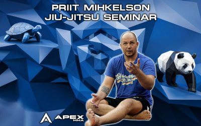 Priit Mihkelson Sydney Jiu-Jitsu Seminar at Apex MMA