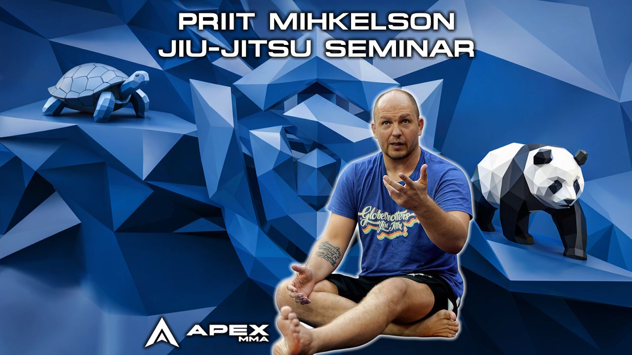 Priit Mihkelson Sydney Jiu-Jitsu Seminar 2024